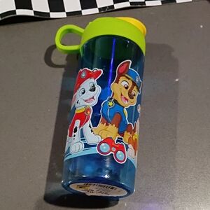 Paw Patrol Kids Blue and Green Character Water Bottle
